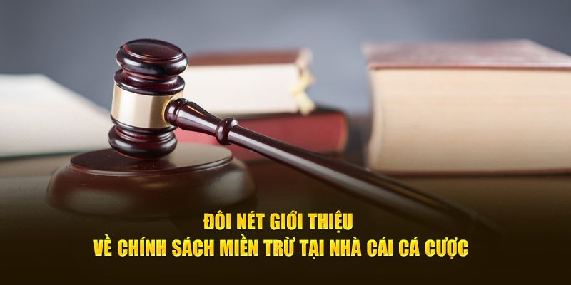 Vài nét thú vị về miễn trừ trách nhiệm tại Sunwin